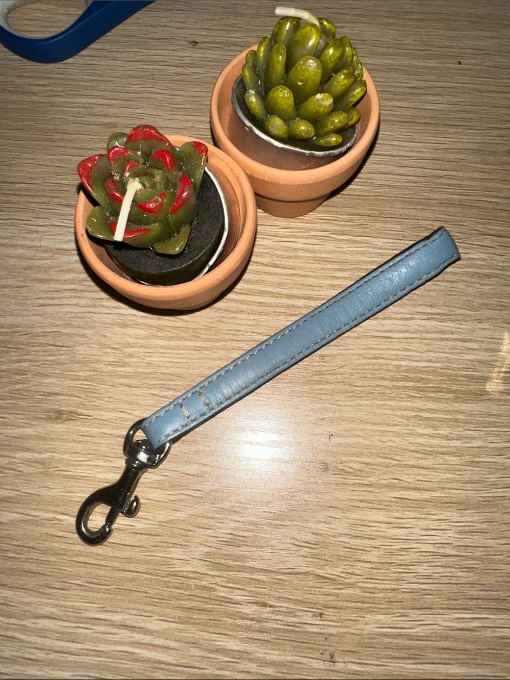 Coach Replacement Blue Leather Zipper Pull Strap Extension